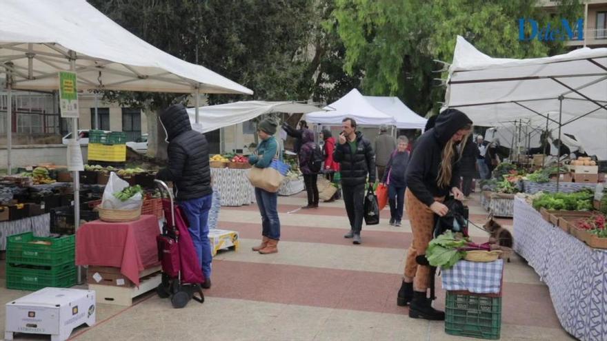 Coronavirus en Mallorca: Los productos ecológicos resisten en la plaza de los Patines