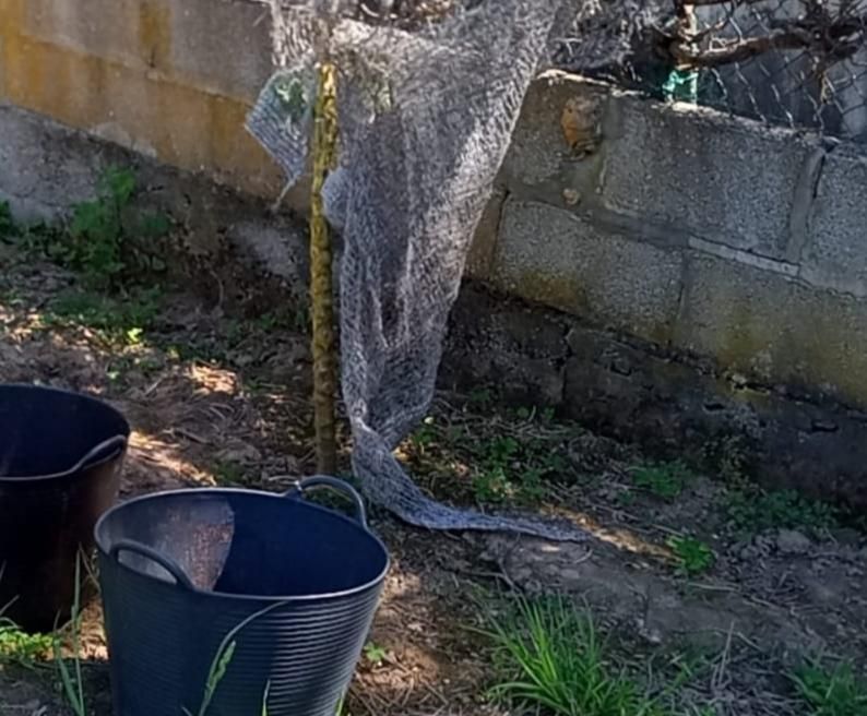 Un vecino de Poio fallece por picaduras de velutina