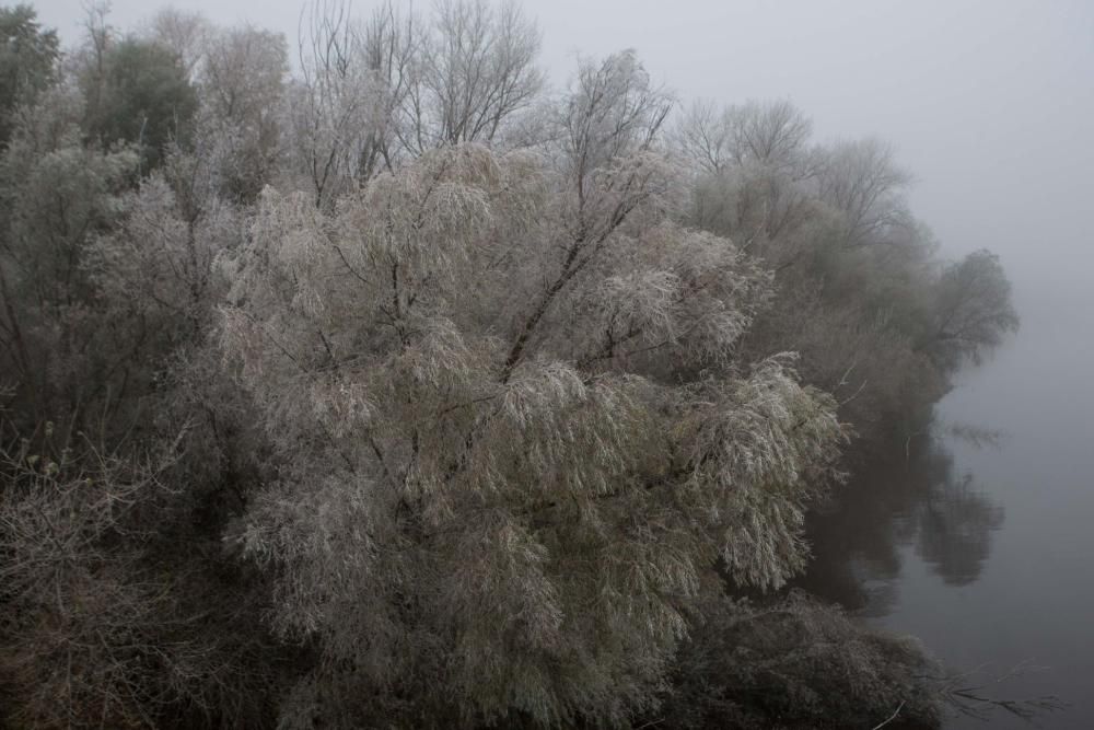 Zamora, cubierta de blanco por la cencellada