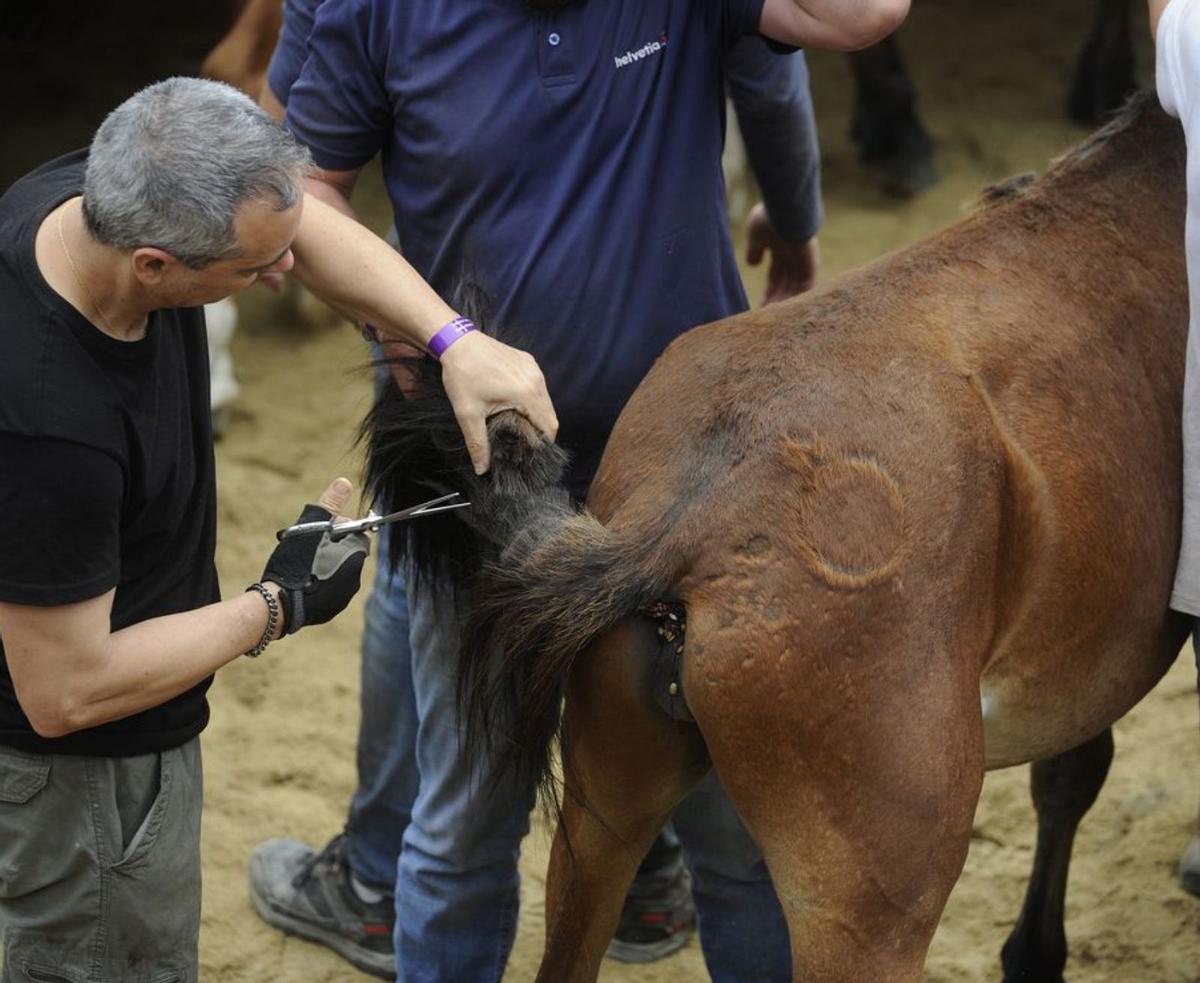 El último y, a la vez, el primero
