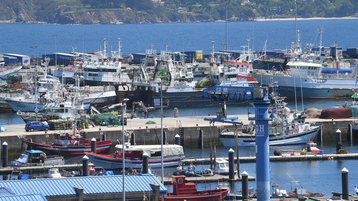 BUQUES DE PESCA AMARRADOS EN LA DARSENA DEL MUELLE E OZA, EN A CORUÑA.