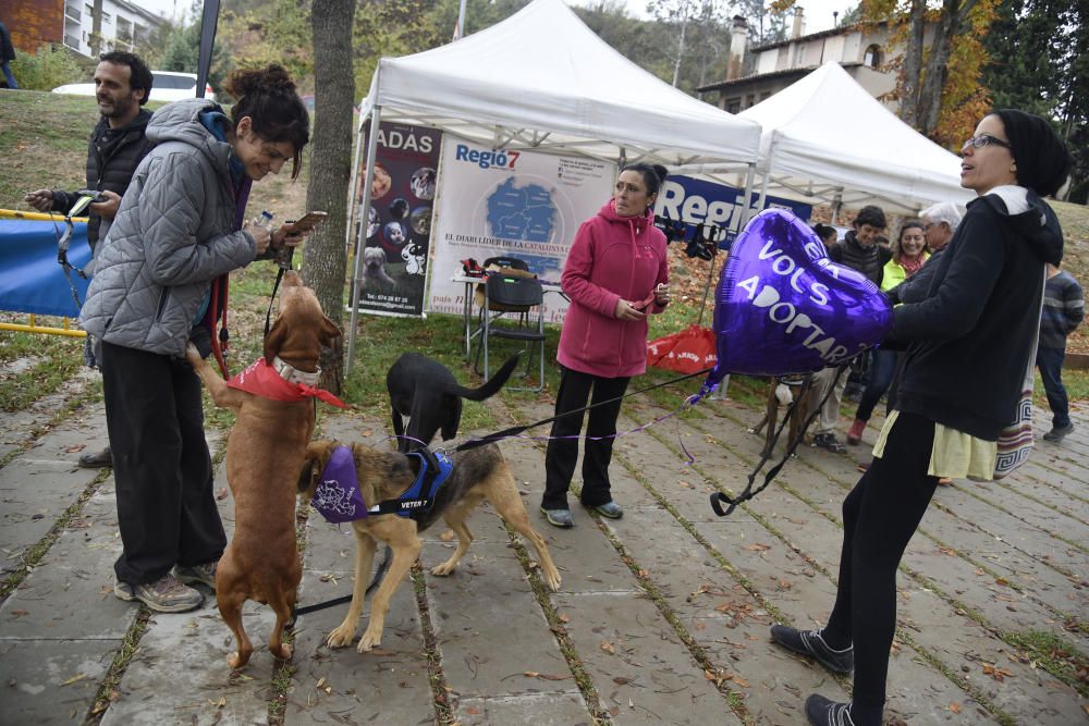 Caminada solidària de Regió7 a Solsona