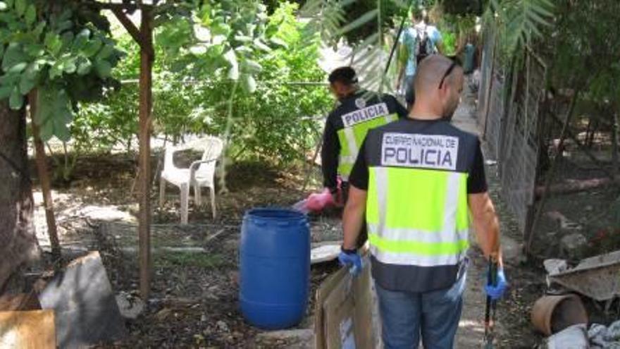 Agentes de la Policía Nacional, en la plantación ilegal.