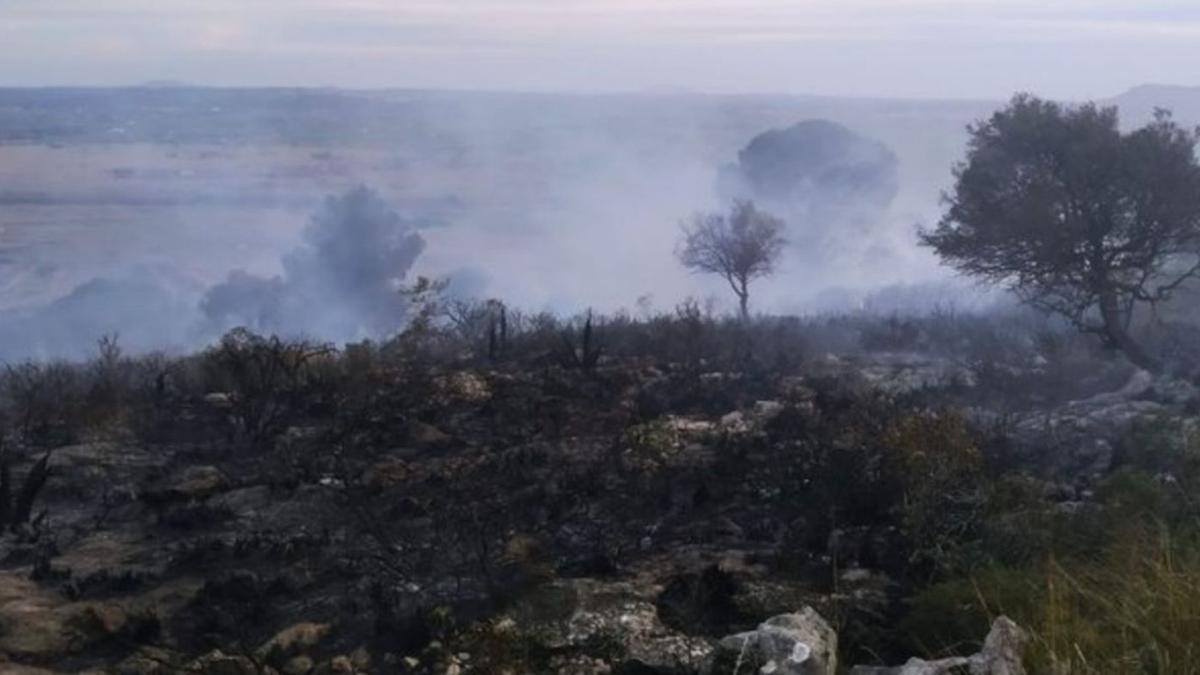 Los incendios forestales queman 3,7 hectáreas.