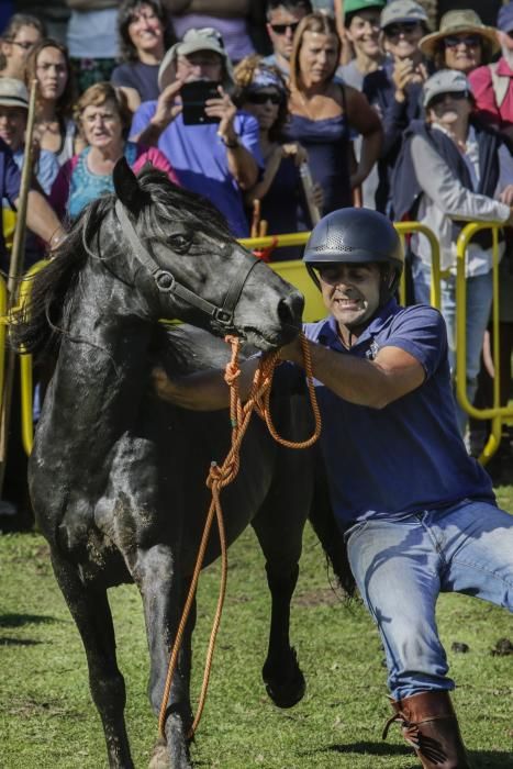 Fiesta del Asturcón en el Sueve