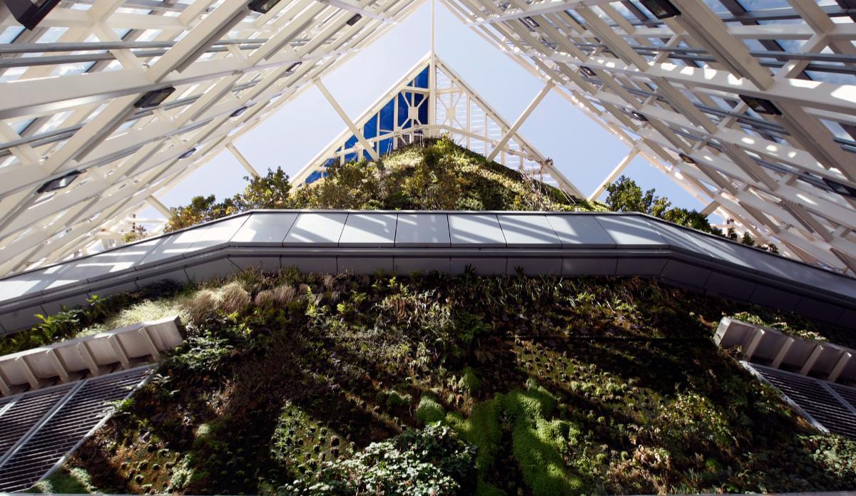 Jardin vertical en el interior de la Torre de Cristal, uno de los 4 rascacielos construidos en los antiguos terrenos de la ciudad deportiva del Real Madrid en el Paseo de la Castellana.