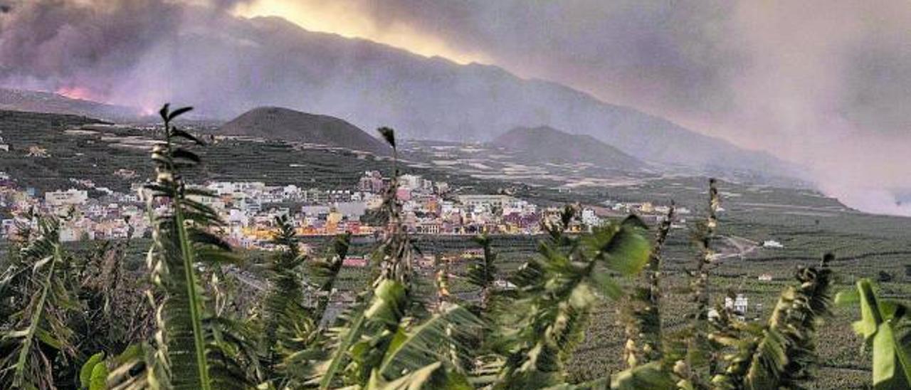 Imagen de plantaciones de plataneras en la costa de La Palma con el volcán de erupción de fondo.