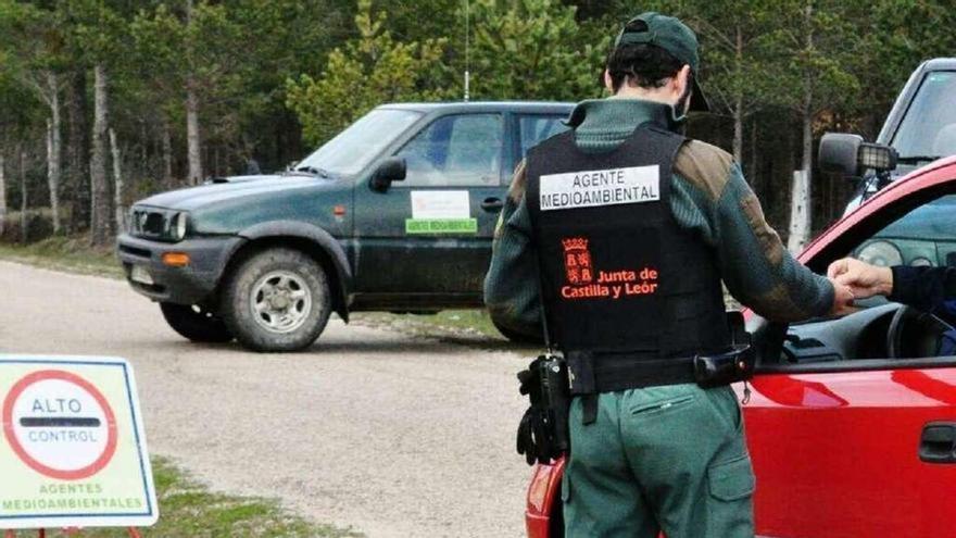 Tendrá que pagar seis euros al día durante un mes por amenazar a un agente medioambiental