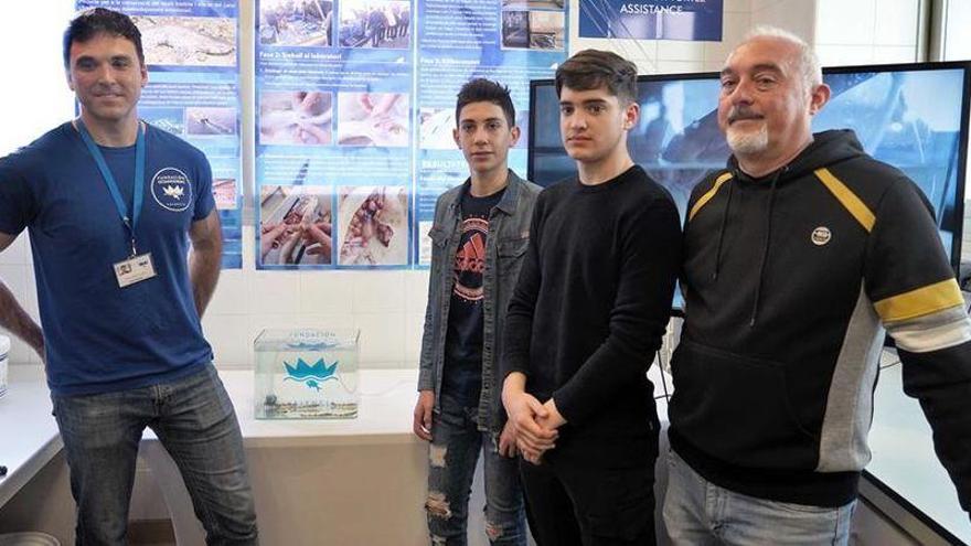 Vila-real, laboratorio de tiburones del Oceanogràfic