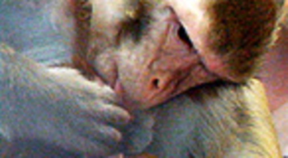 Una mare macaco amb el fill. Una mare macaco amb el fill.