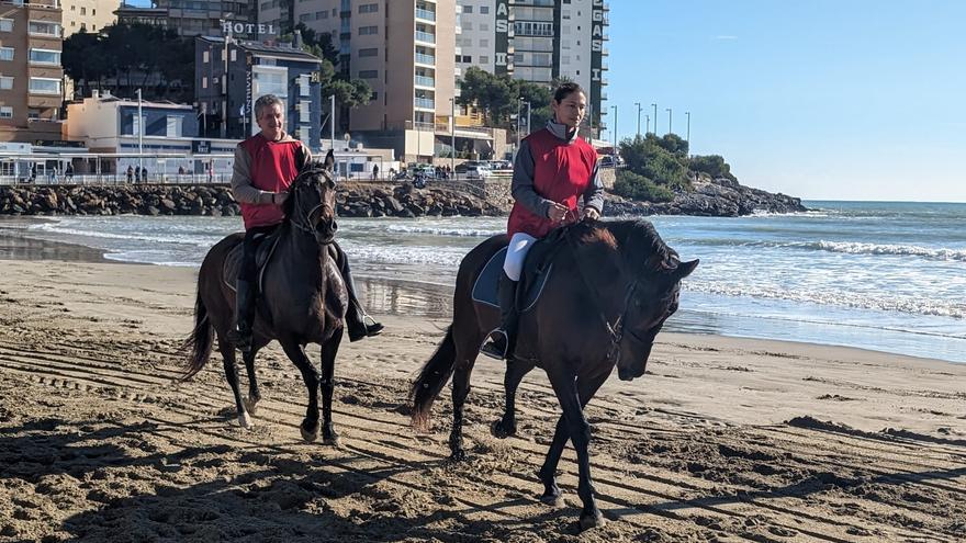 Video | Así ha sido la carrera de caballos y burros que ha llevado a miles de personas a Orpesa