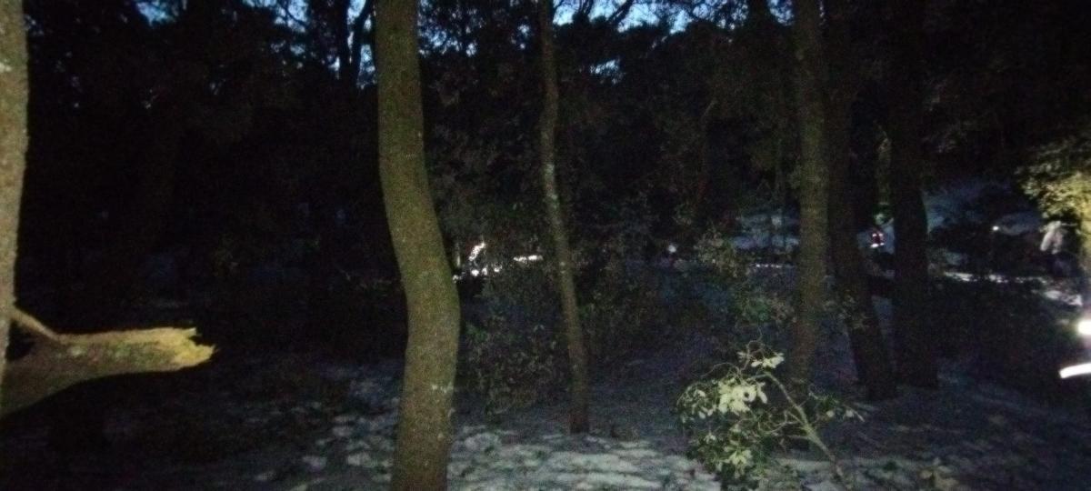 FOTOS | Operativo de búsqueda de los 13 menores perdidos en la Comuna de Bunyola FOTOS | Operativo de búsqueda de los 13 menores perdidos en la Comuna de Bunyola