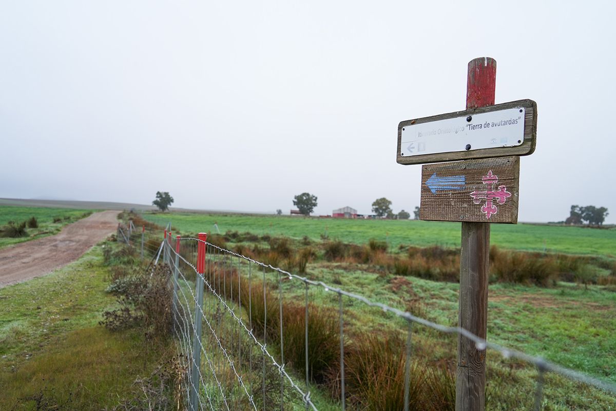 Vía Verde de Peñarroya