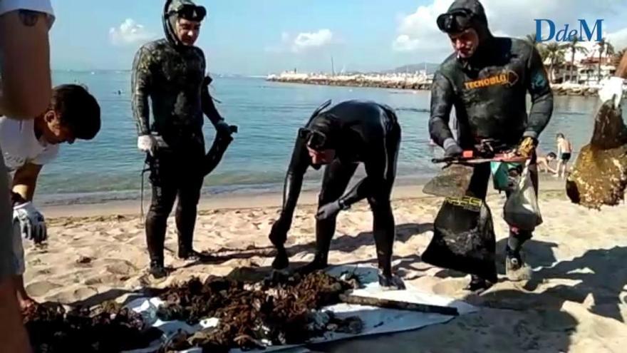 Jornada de limpieza voluntaria en la playa de El Portitxol