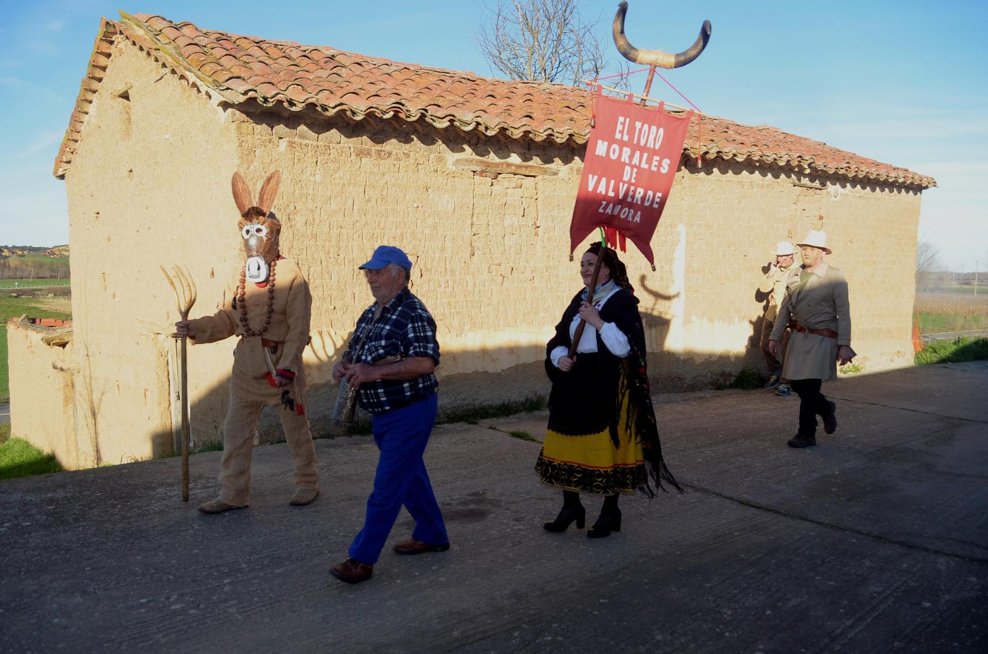 GALERÍA | Morales de Valverde y su Toro de Carnaval