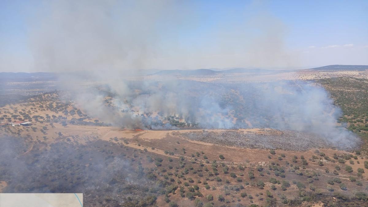 Incendio forestal en Los Blázquez.