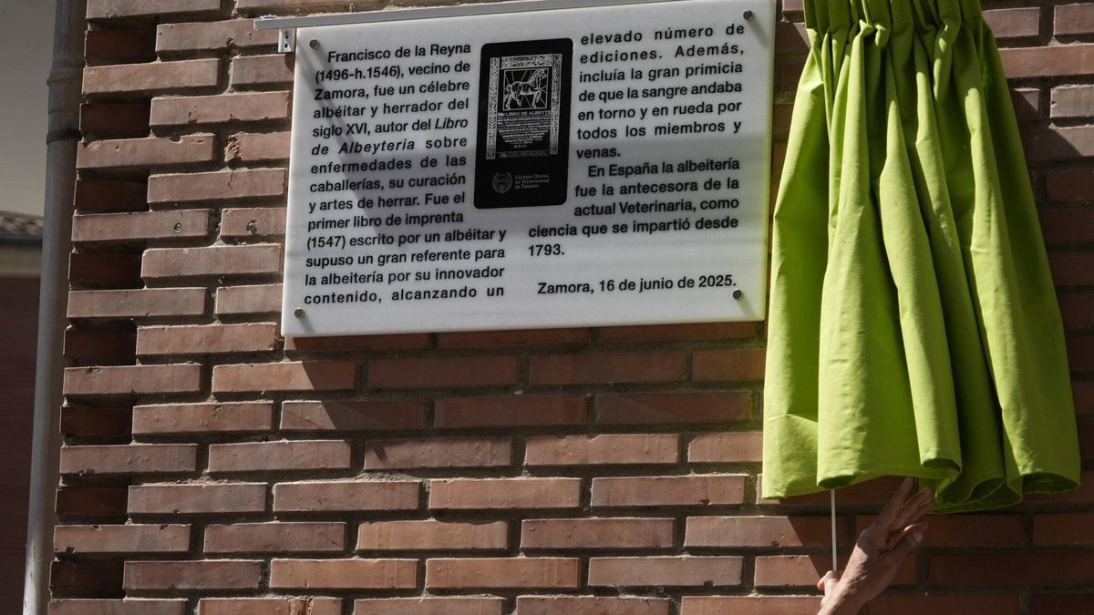 La nueva placa de Zamora.