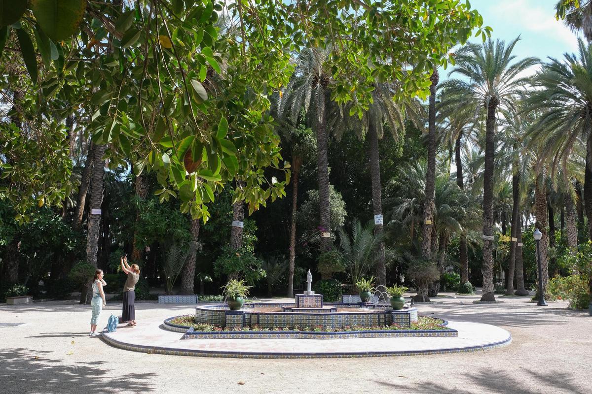 Carteles en palmeras del Parque Municipal de Elche