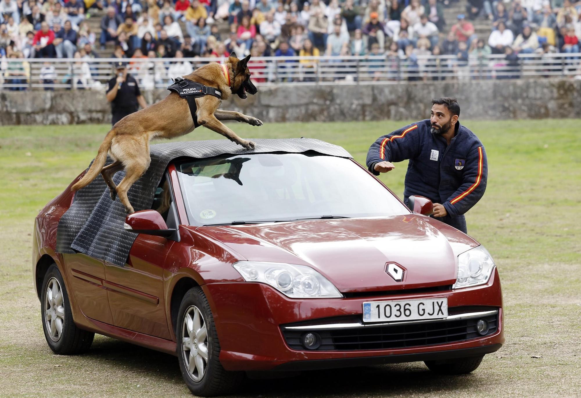 Exhibición de la Policía Nacional en el auditorio de Castrelos en Vigo