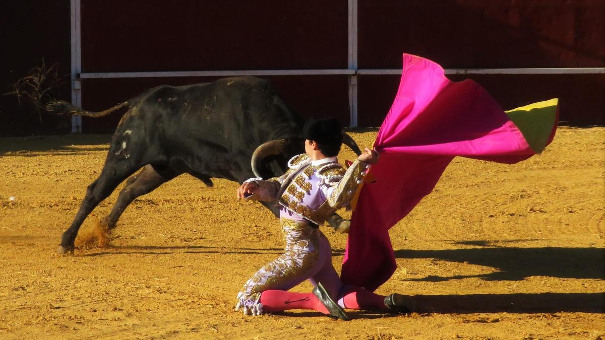 Entretenida clase práctica de la Escuela de Tauromaquia de la Diputación de Badajoz