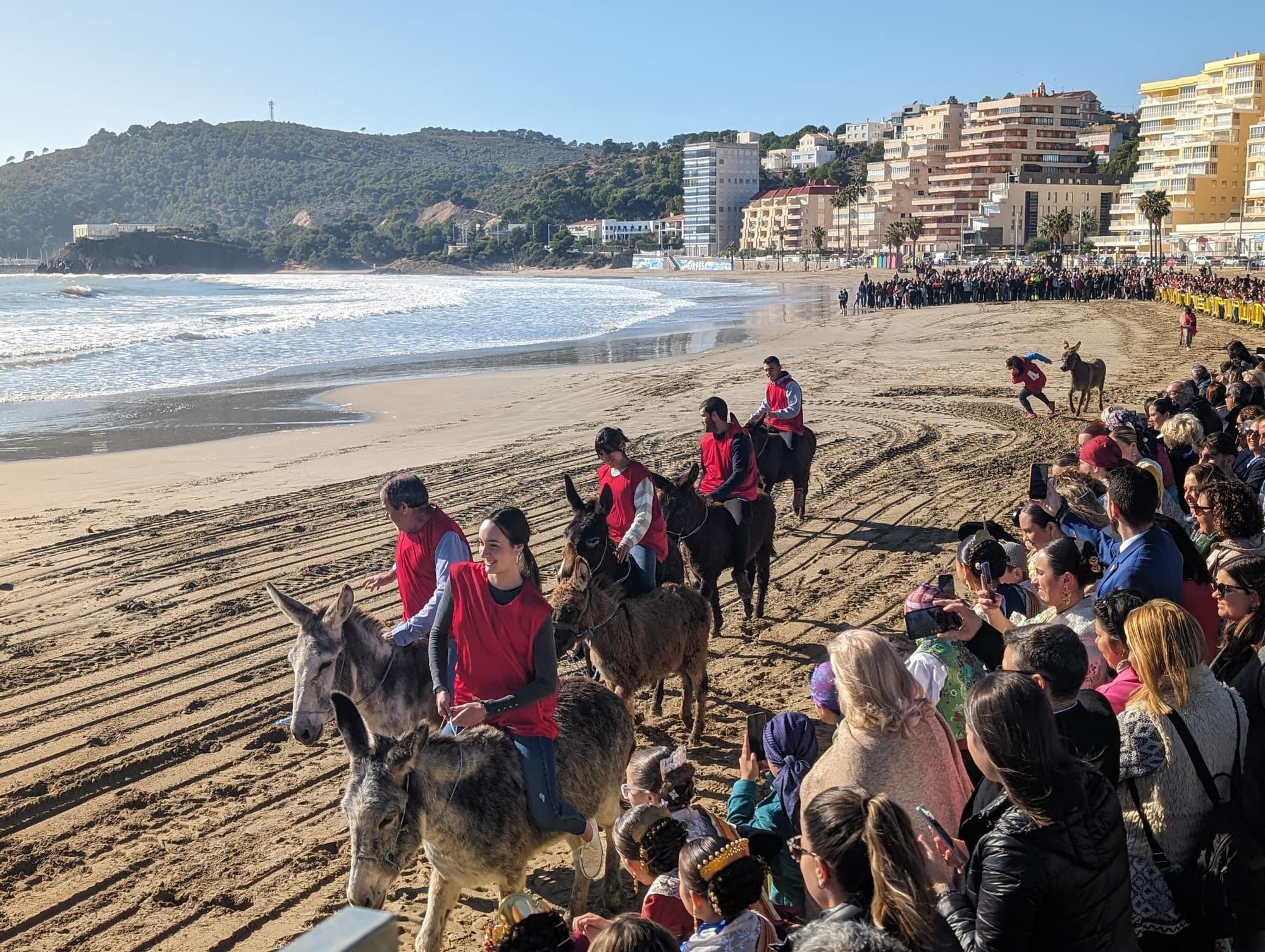 Las espectaculares imágenes de la carrera de caballos y burros en Orpesa