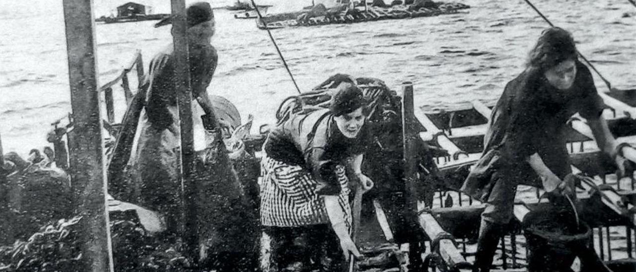 Traballo feminino nunha batea de Moaña, ano 1963.