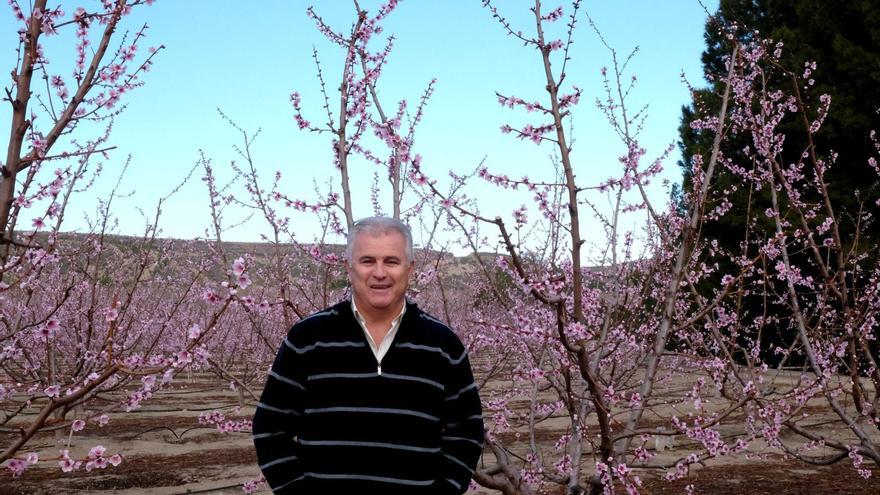 Pascual Hortelano, representante del sector de fruta de hueso de Fecoam.  | CRISTINA HEREDIA