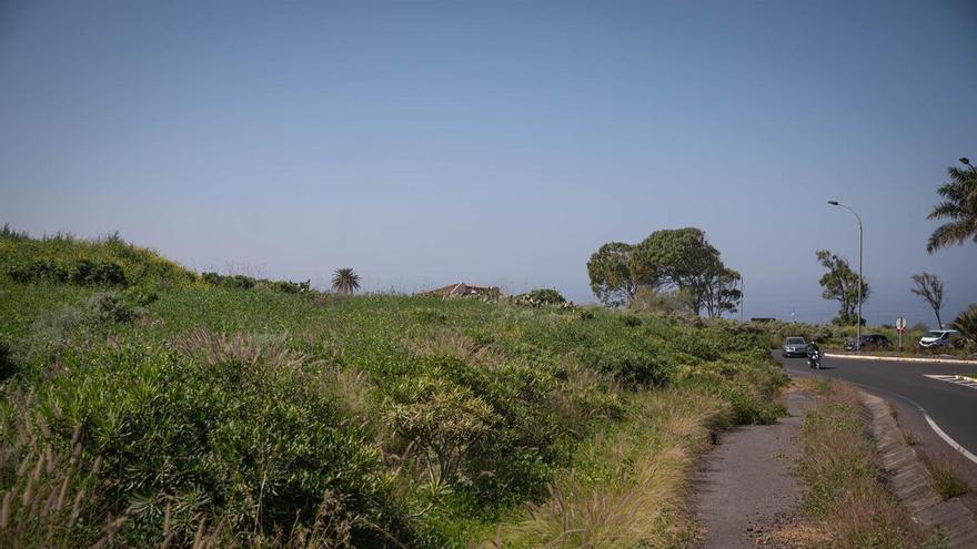 La Laguna quiere construir el futuro cementerio de Tejina junto a la rotonda de la variante