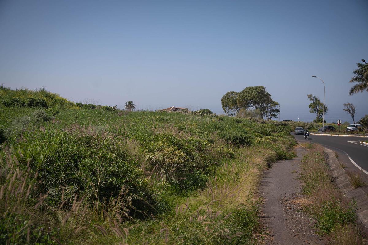La zona seleccionada inicialmente para el cementerio de Tejina.