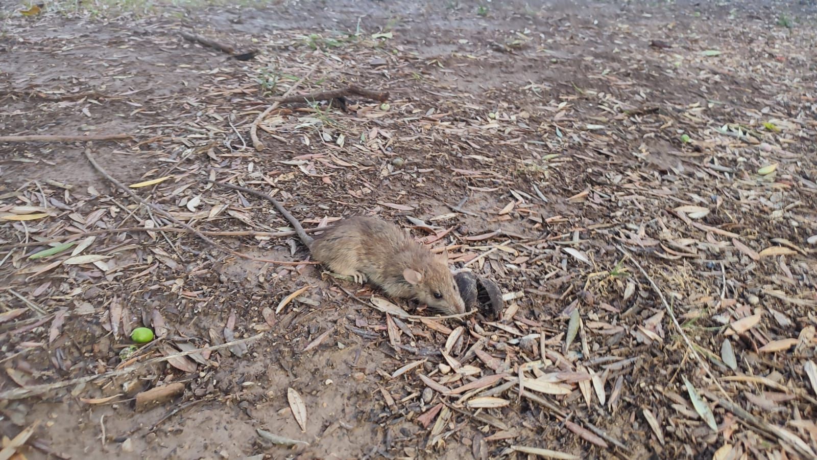 WhatsApp Image 2025-10-13 at 13.06.00 (1).jpeg