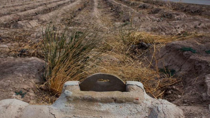 El Consell plantea expropiar por ley el suelo agrícola abandonado en Alicante