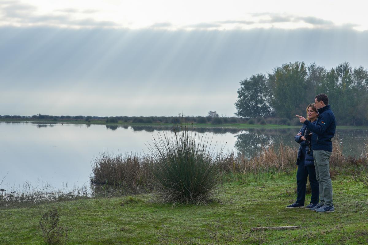 El presidente de la Junta de Andalucía, Juanma Moreno, conversa con la ministra de Transición Ecológica y Reto Demográfico, Teresa Ribera, durante la visita al Parque Nacional de Doñana. A 27 de noviembre de 2023, en Almonte, Huelva (Andalucía, España). El presidente de la Junta de Andalucía, Juanma Moreno, ha compartido con la ministra de Transición Ecológica y Reto Demográfico, Teresa Ribera, una visita al Parque Nacional de Doñana previo a la firma del protocolo para el desarrollo territorial sostenible del área de influencia del espacio natural. 27 NOVIEMBRE 2023 Francisco J. Olmo / Europa Press 27/11/2023 / JUANMA MORENO;TERESA RIBERA;Francisco J. Olmo;