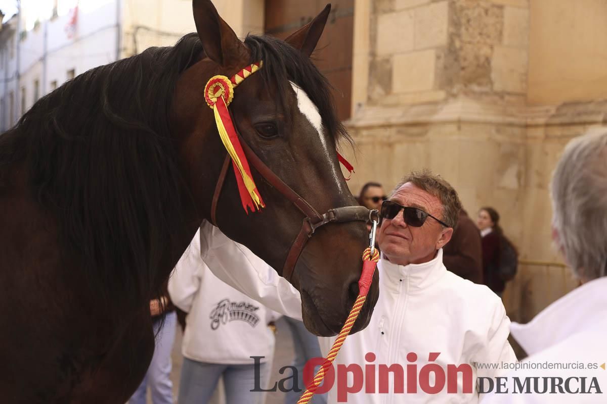 Concurso de caballo a pelo: pasacalles hasta el Hoyo en Caravaca