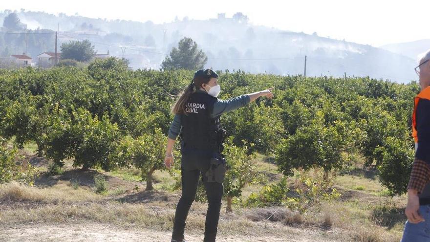 El Consell avanza un mes la campaña antiincendios aunque la concluirá en septiembre