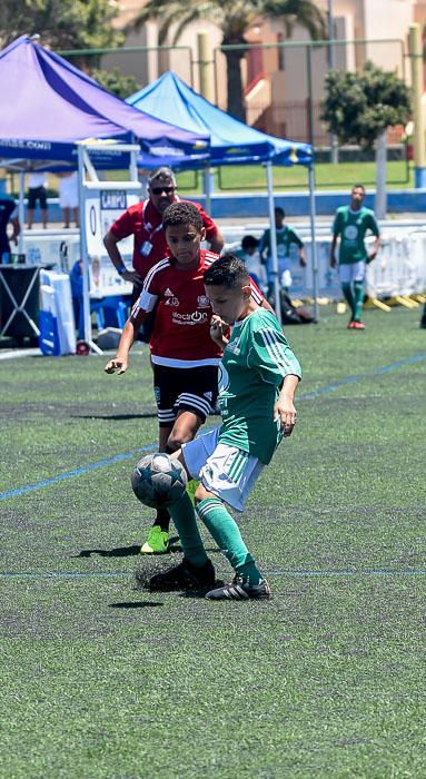 TORNEO FUTBOL ALEVIN EN MASPALOMAS