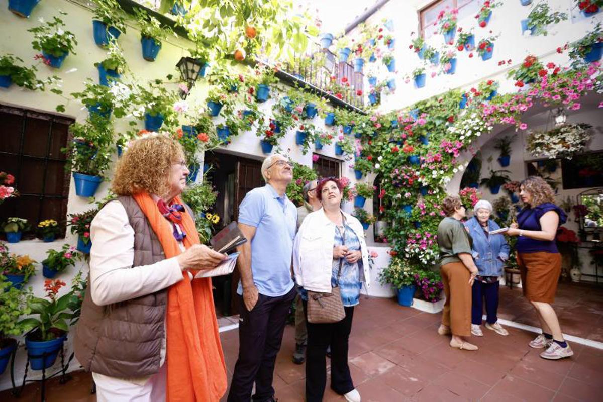 Principales premios del Concurso Municipal de Patios Cordobeses 2026