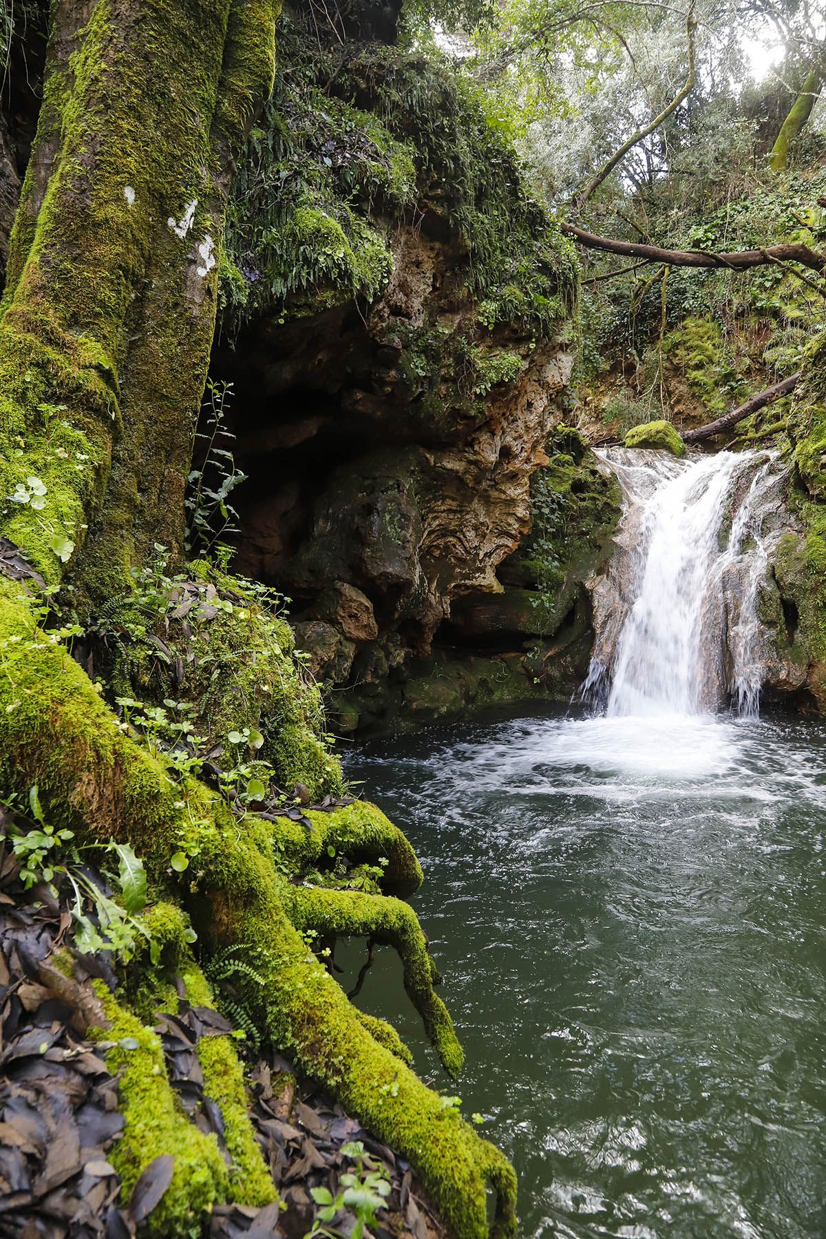 Los Baños de Popea recuperan su esplendor tras las lluvias
