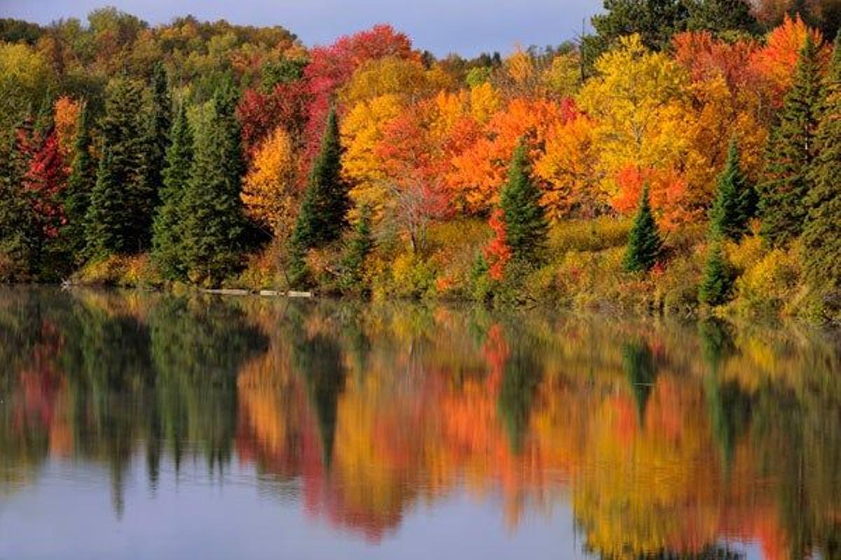 Ontario, Canada.