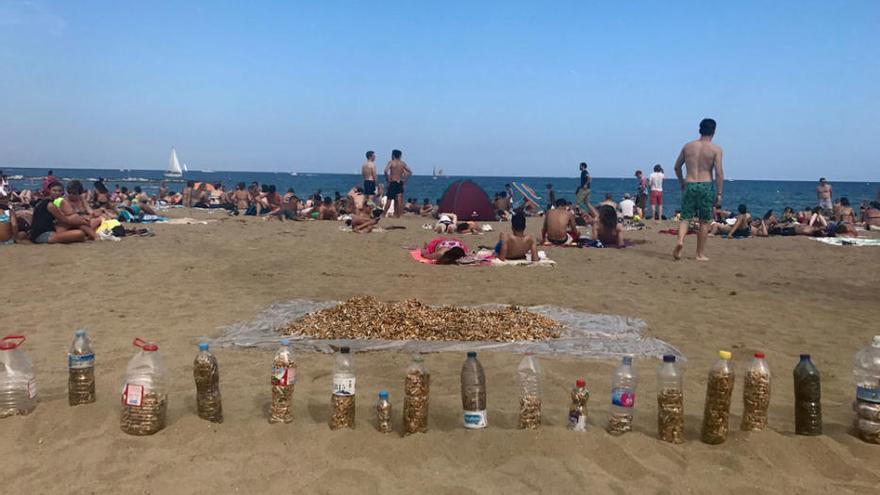 La lucha de un mallorquín contra las colillas de cigarros en el suelo