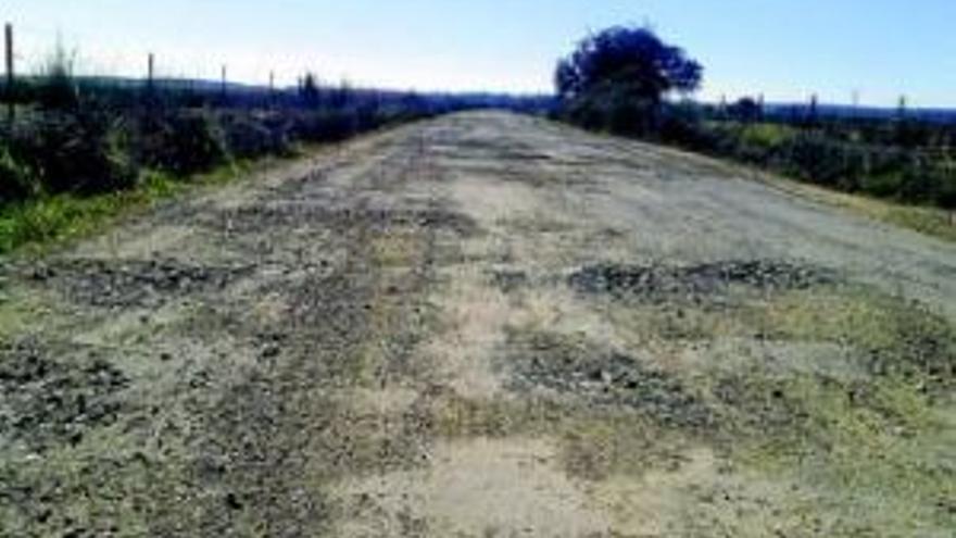 El PP pide que se mejore el camino entre Madrigalejo y Logrosán