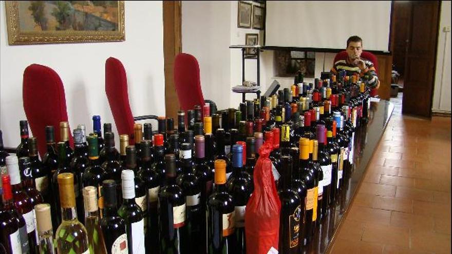 Un catador prueba vinos de la Denominación de Origen