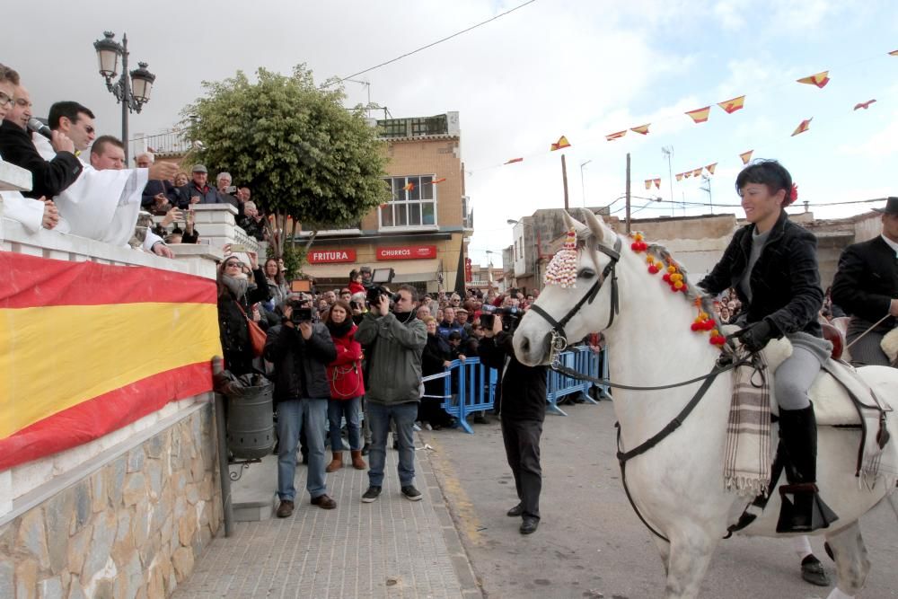 Bendición de los animales en Cartagena