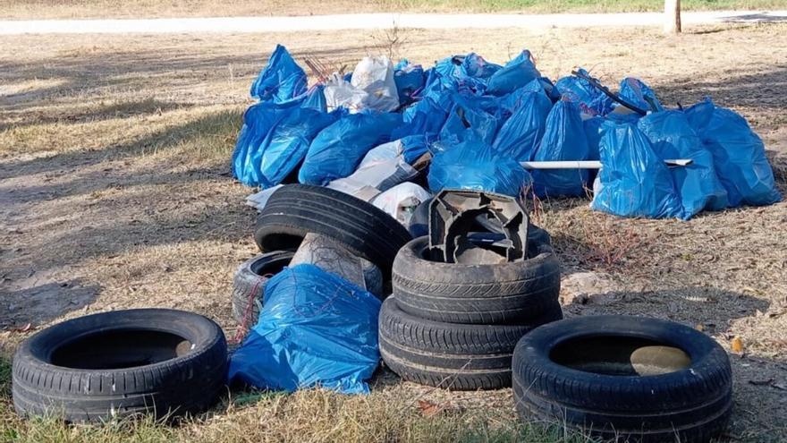 Ecologistes en Acciò retira más de 150 kilos de basura de la Presa de Manises