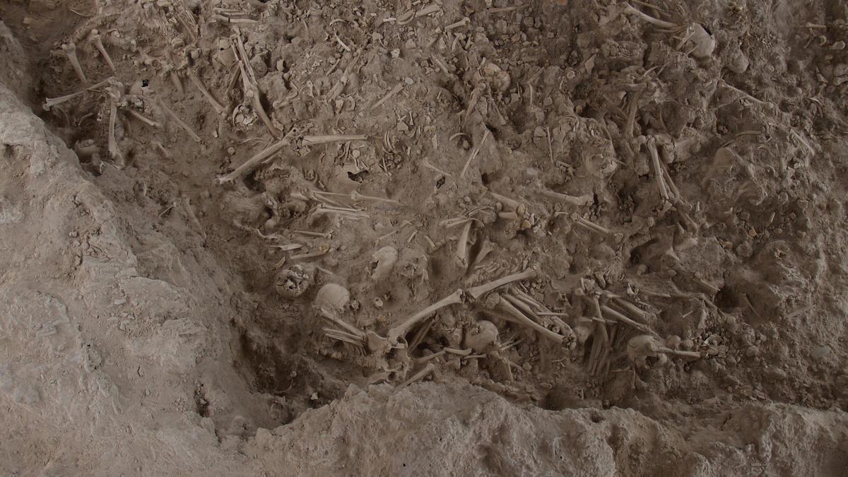 Enterramiento colectivo de la Edad del Cobre de Camino del Molino (Caravaca de la Cruz, Murcia), donde se enterraron unos 1.300 individuos entre los años 2900-2300 ANE. La imagen muestra la última capa de enterramiento, datada entre 2500-2300 ANE, de la que se han analizado seis individuos.