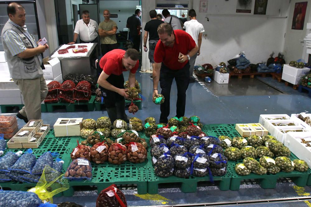 Así es un día de trabajo en la pescadería de Mercamálaga