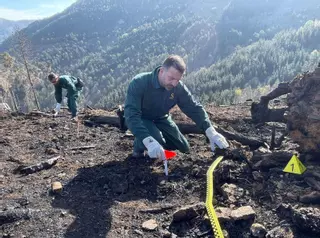 Las investigaciones ya apuntan a autores de 15 incendios, aunque restan semanas de informes