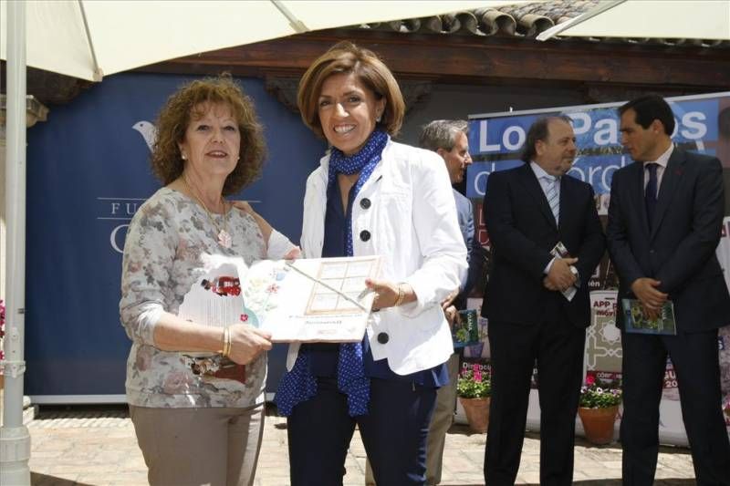 GALERÍA GRÁFICA DE LA PRESENTACIÓN DE LA GUÍA DE LOS PATIOS 2015