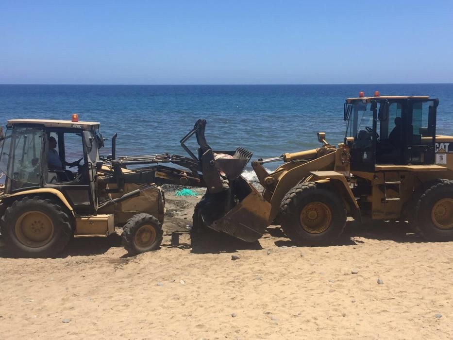 Localizado un delfín sin vida en Bahía Feliz