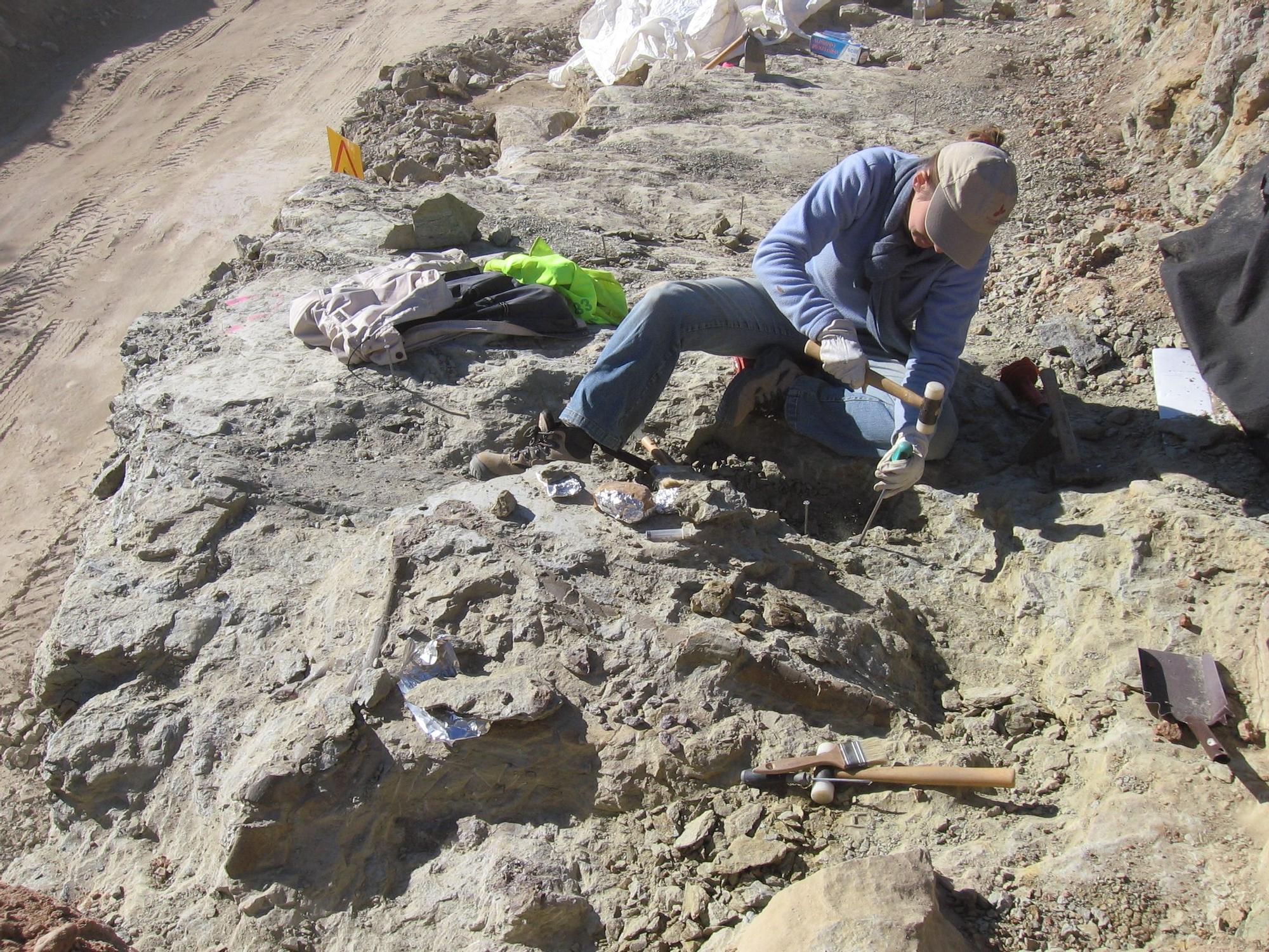 Excavaciones en Morella.