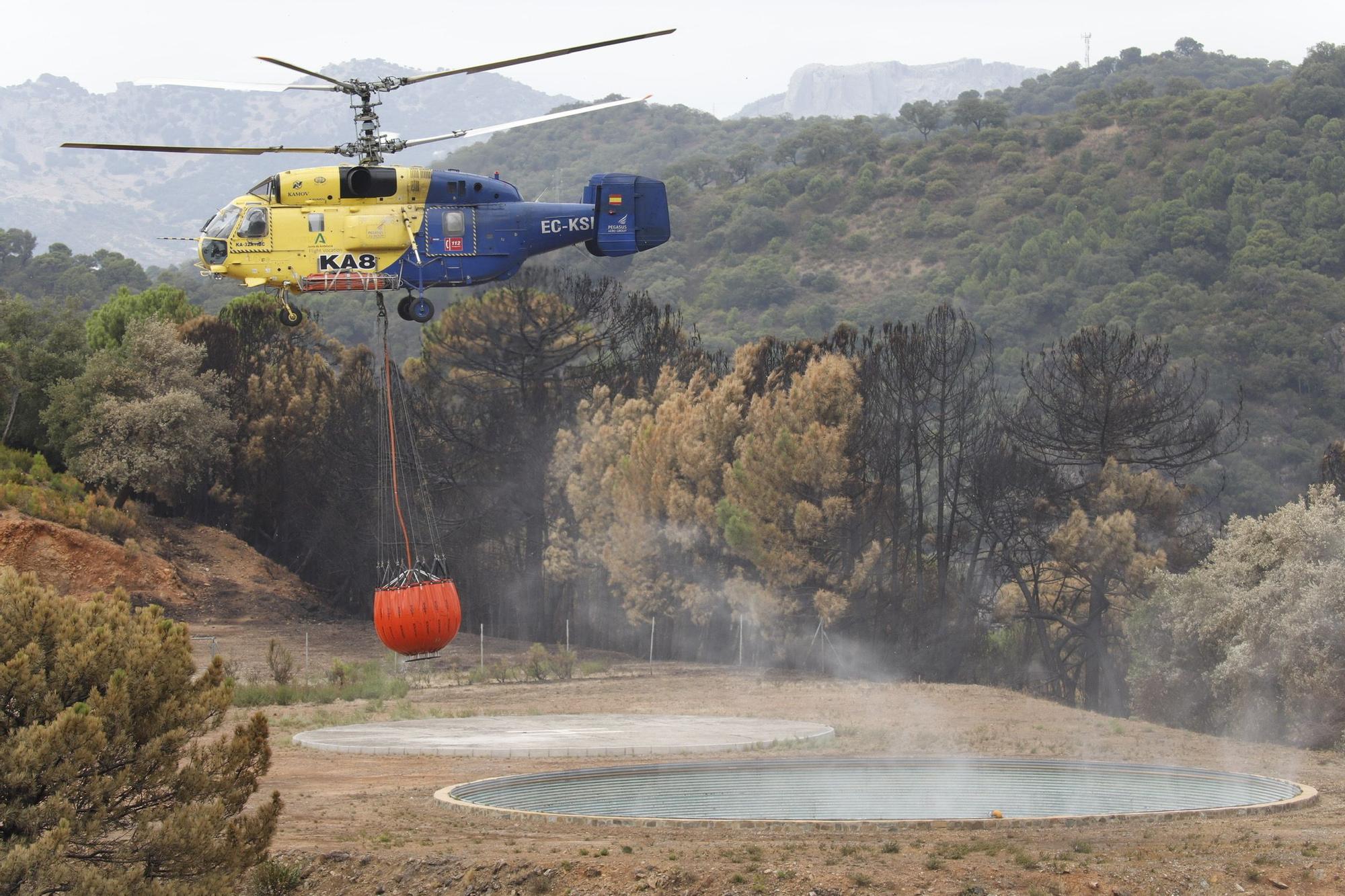 El Paraje de las Peñas Blancas en Estepona arrasado por el fuego